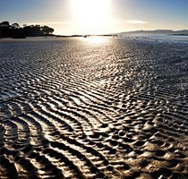Sunrise over Freer's Beach, Shearwater, tasmania