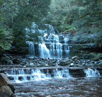 The stunning Liffey Falls, Northern Tasmania